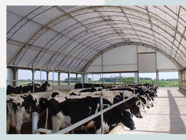 Тентовые коровники в Приморско-ахтарске